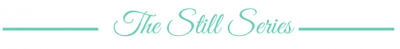 The Still Series Banner